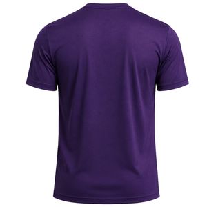 Manufacturer Men <b>Purple</b> Performance Sports T Shirt Quick Dry Athletic Gym Running Training Tee Custom Printed Fitness Activewear - Product Image 2