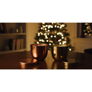 PDMJ - 07 Bougies chauffe-plat parfumées pour Noël, Pâques, Anniversaire, Saint-Valentin et les célébrations de Diwali - Product Image 1