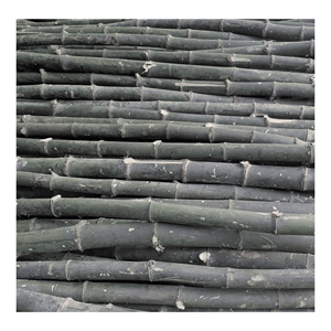 Poteaux en bambou naturel traités avec du bambou naturel pour la construction d'échafaudages et l'ameublement, Vietnam - Product Image 2