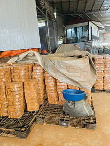 ผู้ผลิตอบเชยเวียดนามแบบแท่ง – กลิ่นหอมเข้มข้นและมีน้ำมันสูง 4% ราคาแข่งขัน WA84362512699 - Product Image 5