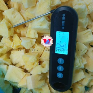 NUEVA COSECHA |   Rodajas de Piña Congeladas VDELTA Vietnam |   Calidad Consistente al por Mayor - Product Image 6