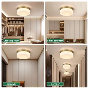 Plafoniera LED Moderna da 24W, 12 Pollici, 1 Pezzo, per Cucina, Armadio e Bagno - Nuovo Stile, Lampada da Incasso - Product Image 3