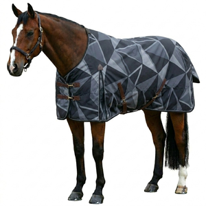 Manta Impermeable para Caballos, para Uso en Exteriores en Invierno, Hecha con Poliéster Ripstop 600D Transpirable - Product Image 1