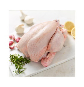 ไก่แช่แข็งฮาลาลคุณภาพสูงจากบราซิลสำหรับการส่งออกขายส่ง - Product Image 6