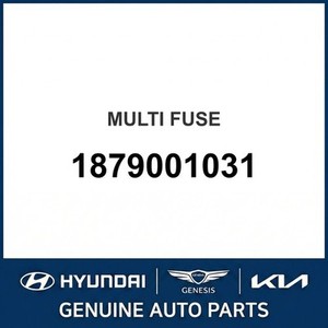 ฟิวส์และกล่องฟิวส์ Forte รุ่นใหม่ 1879001031 - Product Image 1