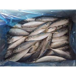 Pescado Ecológico Congelado: Caballa Congelada, Precio de Caballa Congelada, Caballa Congelada en Caja - Product Image 2