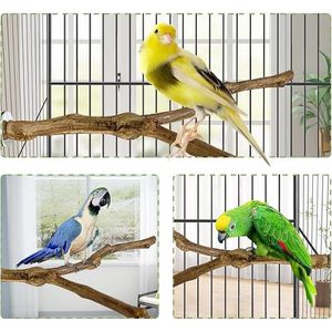 Kathson Posatoio Naturale in Legno di Vite Selvatica per Uccelli e Pappagalli - Product Image 2