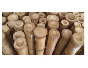 Pôles de bambou brut de source vietnamienne pour la fabrication de meubles durables et les systèmes de soutien des plantes agricoles, aménagement paysager robuste du jardin - Product Image 4
