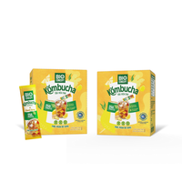 Usine En Gros Gingembre Kombucha Boisson Digestive Thé En Poudre 10gr par Sachet Produits En Gros En Vrac