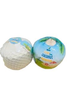 FRAIS JEUNE NOIX DE COCO BRIX 7-9 EAU DE NOIX DE COCO FORME DE DIAMANT NOIX DE COCO PRÊT À EXPORTER DU VIETNAM - Product Image 6