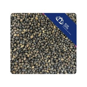 [MEJOR VENDIDO] Semillas de Papaya para Procesamiento Industrial de Alimentos y Distribución de Ingredientes Vietnam - Product Image 1