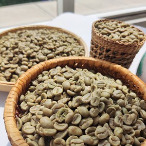 [KEITH VILACONIC] GRAINS DE CAFÉ ROBUSTA SUPERIEURS S18 POLI HUMIDE AVEC UNE QUALITÉ ET UNE VALEUR EXCEPTIONNELLES POUR L'EXPORTATION - Product Image 3