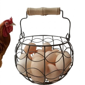 Modern Metal Spiral Egg Dispenser <b>Rack</b> <b>Wire</b> Egg Holder For Fresh Eggs Space Saving Egg Run Storage Organizer With Handle - Product Image 3