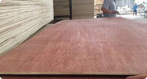 ไม้อัดเชิงพาณิชย์ขนาด 21 มม. 13 ชั้น จากโรงงานเวียดนาม ไม้บินตังกอร์ โอคูเมะ เบิร์ช E0 E1 ทนความชื้น สำหรับงานก่อสร้างอาคารสำนักงาน - Product Image 3