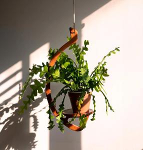 Élégante jardinière murale en fer doré à trois niveaux, porte-plantes d'intérieur, décoration de jardin vertical moderne - Product Image 2