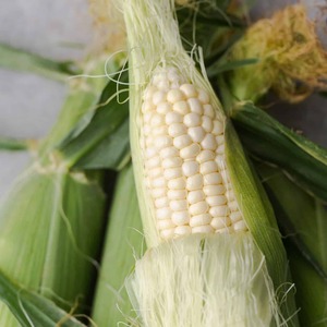 Expédition en vrac de maïs blanc frais pour l'exportation, qualité grain pur, en sacs sous vide, destiné aux importateurs, par un fournisseur alimentaire de confiance - Product Image 4