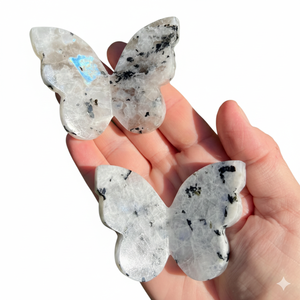 หินมูนสโตนธรรมชาติรูปปีกผีเสื้อ 3 มิติ แกะสลักคริสตัล พลังงานบำบัด หินแร่ตัวอย่าง ของตกแต่งสำนักงาน ขายส่ง - Product Image 6
