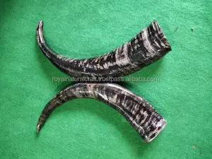 Shofar de cuerno de buey Natural superior, artesanía de cuero hecha a mano para bodas, fiestas, polvo vikingo pulido, cuerno para beber, Animal - Product Image 5