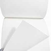Rouleau de papier synthétique PP mat éco-solvant pour affiches, matériaux d'impression grand format, approvisionnement en gros, usine OEM