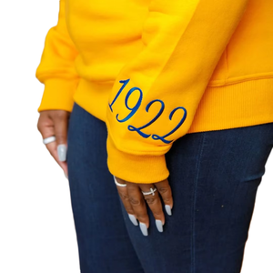 HBCU SGRho Sweat-shirt d'hiver en chenille écologique, lettres brodées or et bleu, mélange de coton premium, Divine Nine Greek Apparel - Product Image 3
