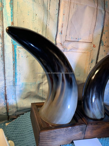 Par de Arte de cuerno de buey pulido abstracto único para exhibición de repisa de escritorio - Product Image 4