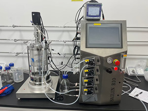 Bailun 7L bioréacteur bio fermenteur bioréacteur en verre de biotraitement évolutif l utilisé pour les BLBIO-GJ de culture microbienne - Product Image 6