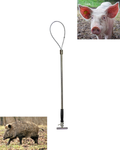 อุปกรณ์ยึดหมู Surtechs Hog Holder สำหรับสัตวแพทย์ ใช้กับปศุสัตว์ ทำจากสแตนเลส - Product Image 1