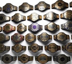 Ceinture de championnat de lutte personnalisée en cuir noir avec plaque dorée, logo personnalisé, ceinture de titre, ceinture de championnat personnalisée, personnalisable - Product Image 5