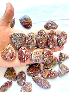 Wholesale Hot Selling Quality Natural Palm Root Agate Cabochon Mix Shape Size Flat Back Gemstones Best Quality Handmade <b>Stone</b> - Product Image 2