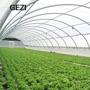 Filet anti-insectes agricole 24 32 40 mailles pour la Thaïlande et le <span class=keywords><strong>Vietnam</strong></span>, 50g-110g, protection UV, filet de serre en HDPE, couverture intégrale - Product Image 4