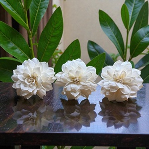 Flores de madera Sola VADEE hechas a mano, sostenibles, Dahila mini, de 8.5 cm, con varillas de fibra de planta de Sesbania de Tailandia. - Product Image 2