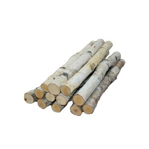 Bois de bouleau fourni en grande quantité pour les poêles, les cheminées et l'utilisation en extérieur - Product Image 4