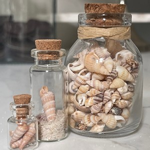 Decoración Oceánica, Botellas con Conchas Marinas, Precio Económico, Coleccionables, Botellas Rellenas de Conchas Marinas Naturales - Product Image 3
