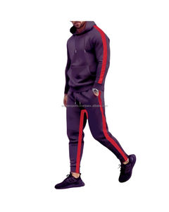 Ensemble de vêtements de sport d'hiver décontractés pour hommes personnalisés par OEM costume de jogging de gymnastique 2 pièces respirant de grande taille survêtement de course décontracté à capuche - Product Image 5