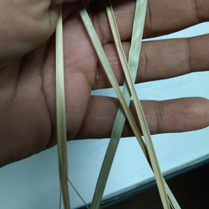 หญ้าทะเลแห้งสำหรับสาน ความยาว 1.3 เมตร หญ้าทะเลธรรมชาติสำหรับงานฝีมือและเฟอร์นิเจอร์ ราคาแข่งขันจากผู้ผลิต ANGLE 12 - Product Image 5