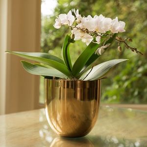 Jardinière en acier faite à la main, pot décoratif pour fleurs, durable, élégant, pour la maison, le jardin, l'intérieur et l'extérieur - Product Image 3