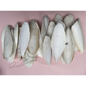 Polvo de Hueso de Sepia Blanqueado de Tamaño Mediano de la Más Alta Calidad GIA NGUYEN, Hueso de Calamar para Aves Loros, Precio de Fábrica de Vietnam - Product Image 3