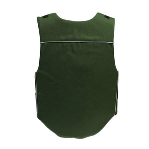 Chaleco de Seguridad Ecuestre para Montar a Caballo, Duradero, Ligero, Transpirable, de Secado Rápido, Diseño Personalizable, Cintura Alta, Unisex - Product Image 1