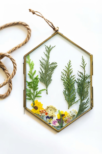 Wholesale Hexagon Brass Metal Glass Photo <b>Frame</b> Hanging Botanical Specimen Display <b>Frame</b> <b>Vintage</b> <b>Picture</b> <b>Frame</b> for Home Decor - Product Image 1