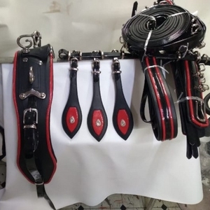 Ensemble de harnais pour cheval BIOTHENE/CUIR, harnais de conduite hybride avec matériaux combinés pour le confort et la durabilité - Product Image 1