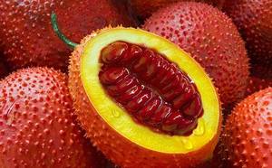 Exportación de frutas de Vietnam Gac/venta al por mayor frescas, congeladas y en polvo - Product Image 4