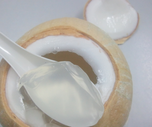 Gelatina de Coco Premium de Vietnam – Fresca, Dulce y Masticable, Delicioso Ingrediente para Postres // Mr.Tom - Product Image 2