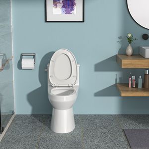 WC in ceramica monopezzo con singolo filo e seduta di chiusura morbida - Product Image 2