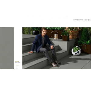 Cristal gris mat 800x2400mm 80x240cm couleur corps résistant aux rayures 1.5cm d'épaisseur dalle de porcelaine carreaux de pierre par Vistaar Granito - Product Image 1