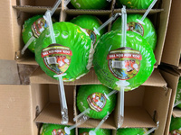 Eau de coco Goût sucré Haute qualité Exportation Vente en gros Meilleur prix Agriculture Jeune noix de coco fraîche de Ben Tre Vietnam ANNA DO