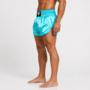 Pantalones Cortos de Boxeo Tailandés para Hombre, Impresión por Transferencia de Calor, Corte Regular, Poliéster Elástico, Ropa de Artes Marciales, Logotipo Frontal, Talla Adulto - Product Image 4