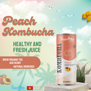 250Ml Nhôm Có Thể Kombucha Trà Interfresh Việt Nam Fusion Quá Trình Lên Men Puree Loại Trái Cây Nước Ép Rau Với Aloe & Quả - Product Image 6