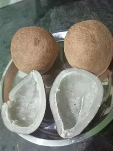 Noix de coco mûres séchées au soleil et au four, qualité naturelle AA, sac tissé de 25/30/50 kg, origine Kerala, prêtes à l'emploi, durée de conservation de 24 mois - Product Image 4