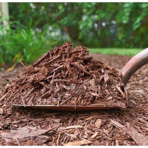 Paillis de Bois de Pin Biologique pour Aménagement Paysager – Retient l'Humidité pour Paillage - Product Image 3