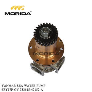 ปั๊มน้ำทะเล733615-42152-A 6RY17P-GV สำหรับ yanmar - Product Image 1
